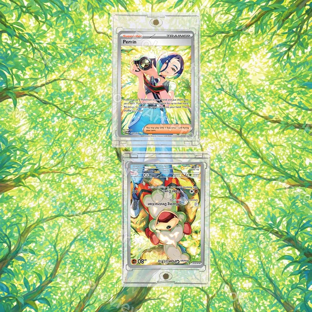 Hisuian Growlithe Hisui Gardie 075/066 and Perrin Sazare 092/066 Crimson Haze SV5a Pokemon TCG extension art collector display