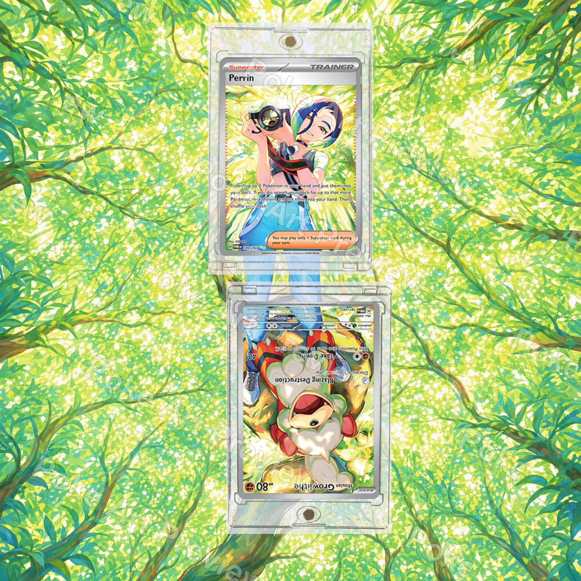 Hisuian Growlithe Hisui Gardie 075/066 and Perrin Sazare 092/066 Crimson Haze SV5a Pokemon TCG extension art collector display