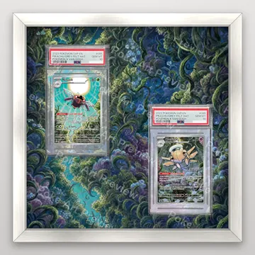 Ninjask Tekkanin 65/063 and Shedinja Nukenin 072/063 Mega Symphonia M1S Pokemon TCG extension art collector display view 5