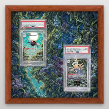 Ninjask Tekkanin 65/063 and Shedinja Nukenin 072/063 Mega Symphonia M1S Pokemon TCG extension art collector display view 2