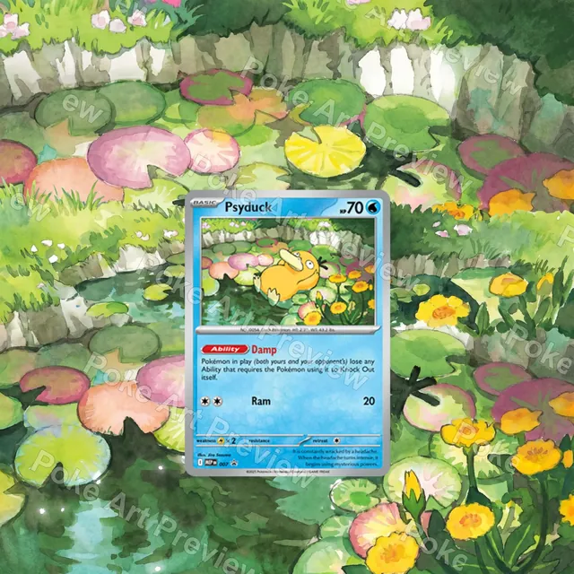 Psyduck 007 SV-P promo Pokemon TCG extension art collector display