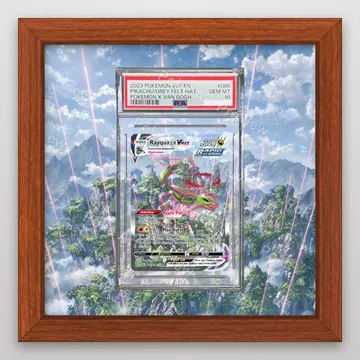 Rayquaza VMAX 218/203 PSA Evolving Skies Pokemon TCG extension art collector display view 2